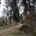 Region Rottweil Noch Keine „sturmwarnung Aber Wetterdienst Kuendigt Sturmboeen An