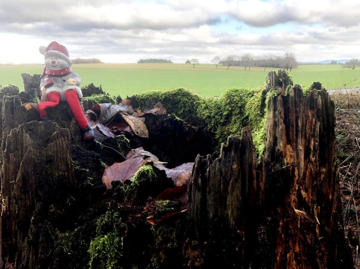 Winter Bilderbuchweg Zwischen Seedorf Und Boesingen Findet Reges Interesse