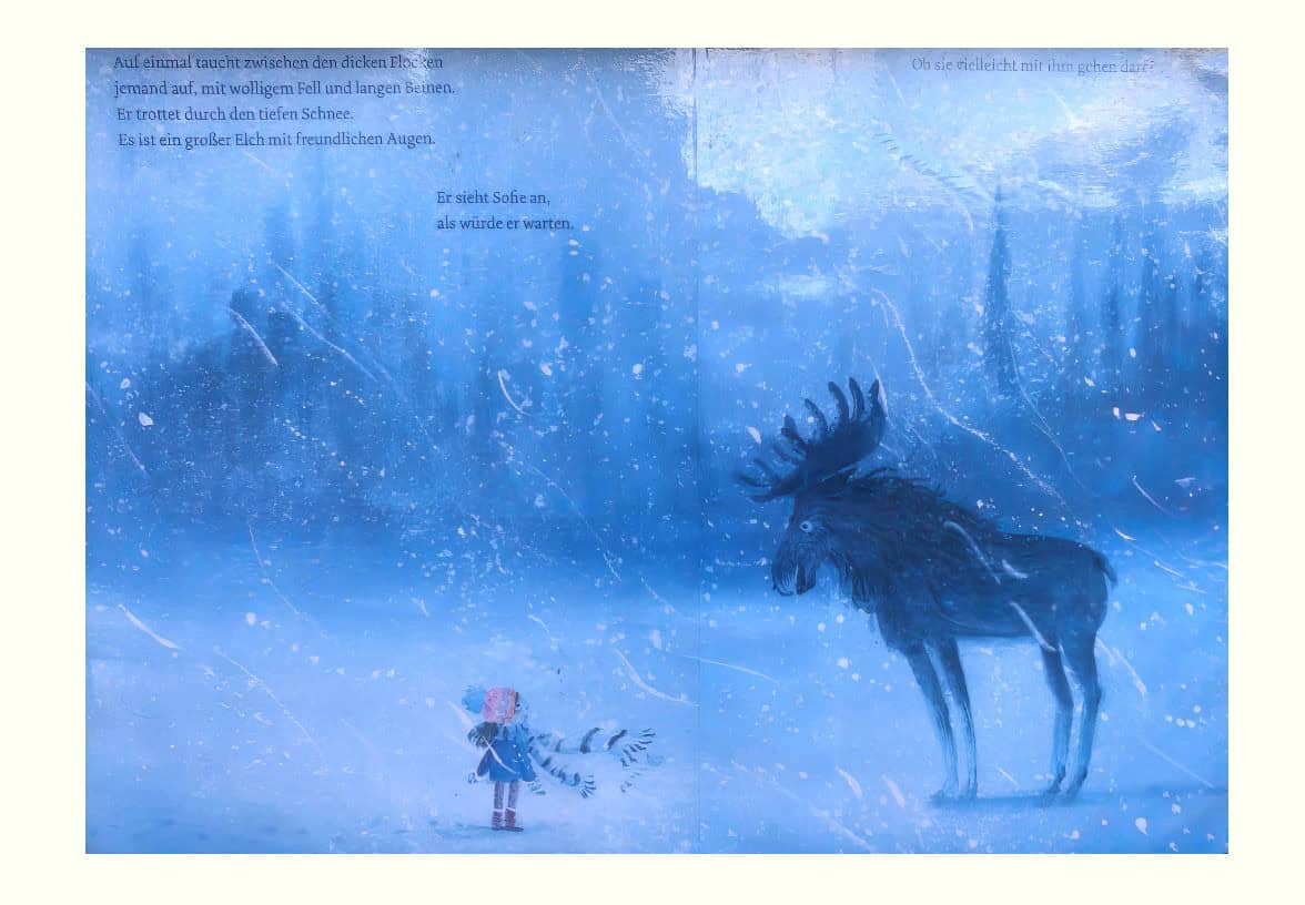 Winter Bilderbuchweg Zwischen Seedorf Und Boesingen Findet Reges Interesse