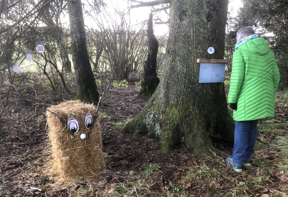 Winter Bilderbuchweg Zwischen Seedorf Und Boesingen Findet Reges Interesse