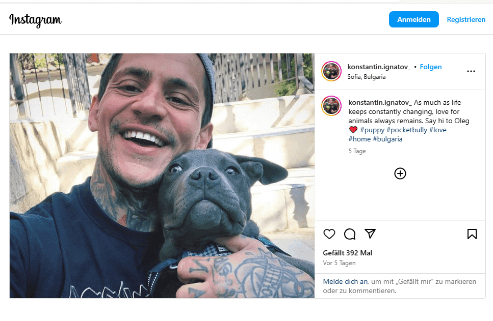 ignatiov mit bully 100424