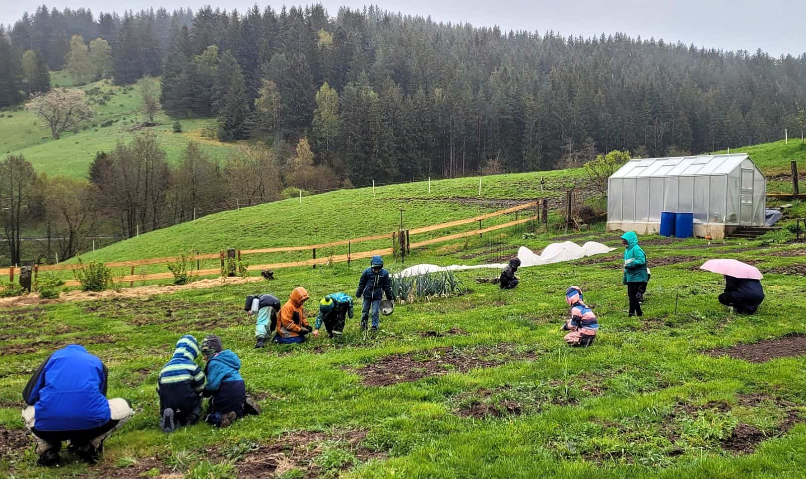 kräuter spaziergang 1 dkpm 210424