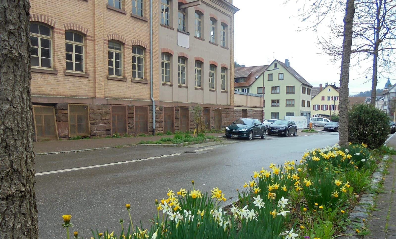 pfaff und schlauder dk 030424 (5)