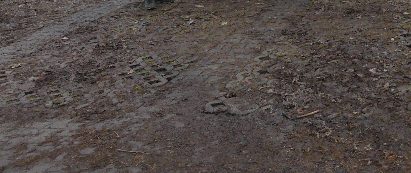 wittumparkplatz rasensteine dk 070224 (5)