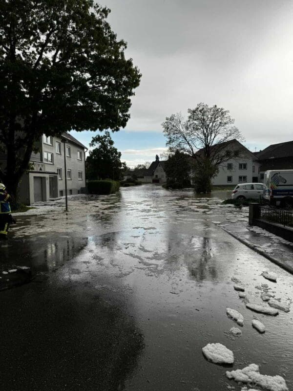 08e513b0 0aa4 49db a08e 522bd89a7b48