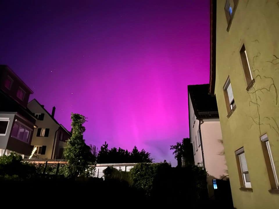 438112426 434074822559067 4370126965776463456 n