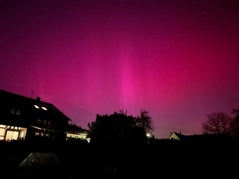 440195865 762003749453407 5832337155606401206 n