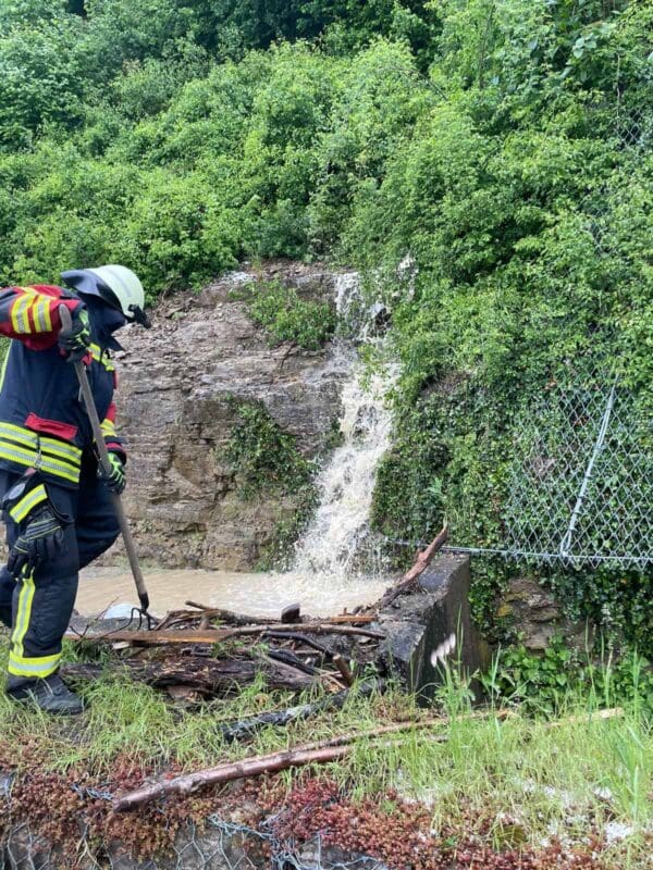 726054d2 0434 4fc7 a901 5eff4c7349d3