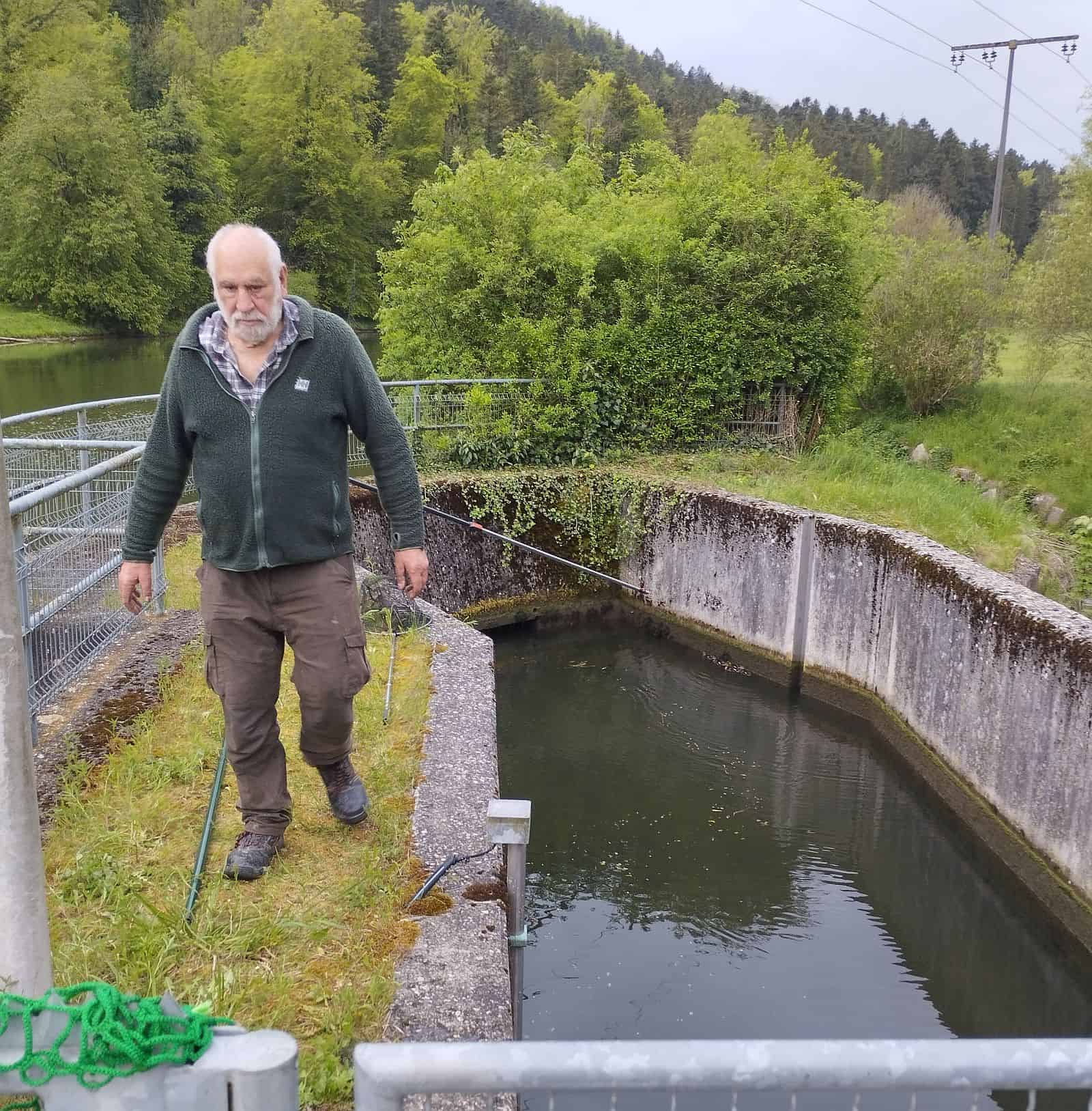 entenrettung sulz polet dk 090524 (2)