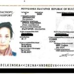 onecoin pass dilkinska indien 1 scott prozess dk 161221