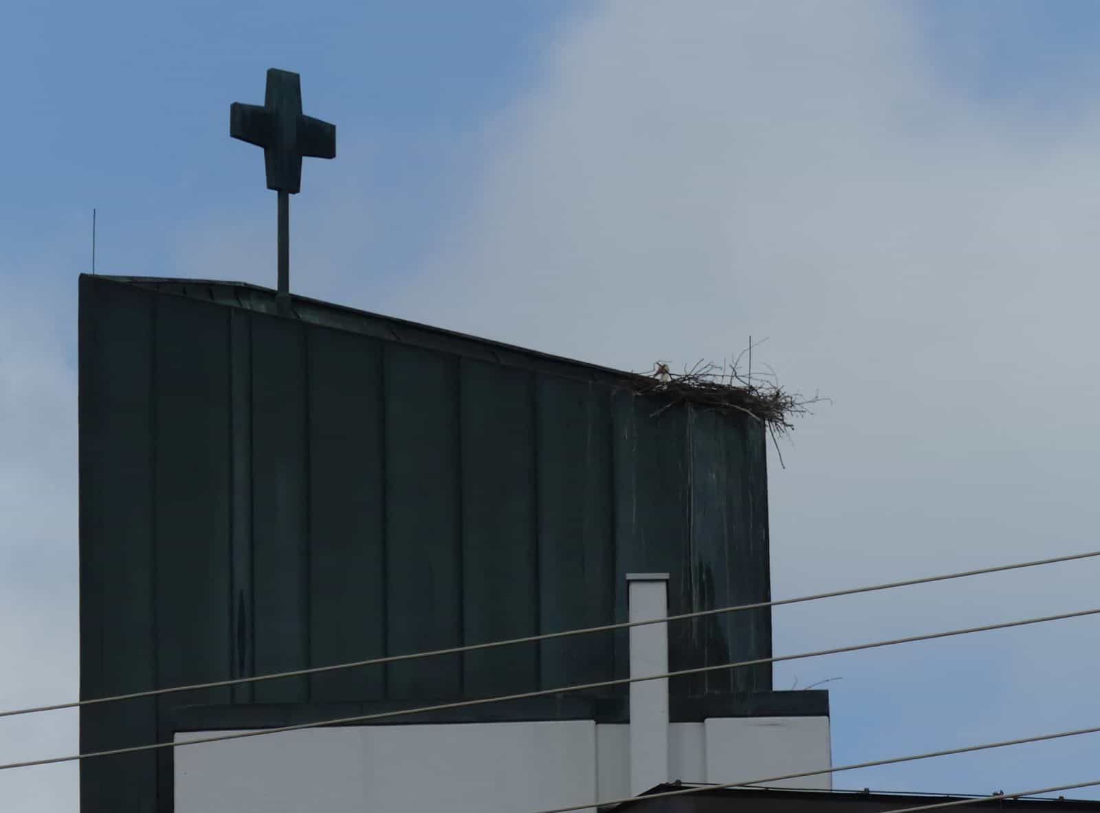 storch kirche waldmössingen dk 080524 (3)