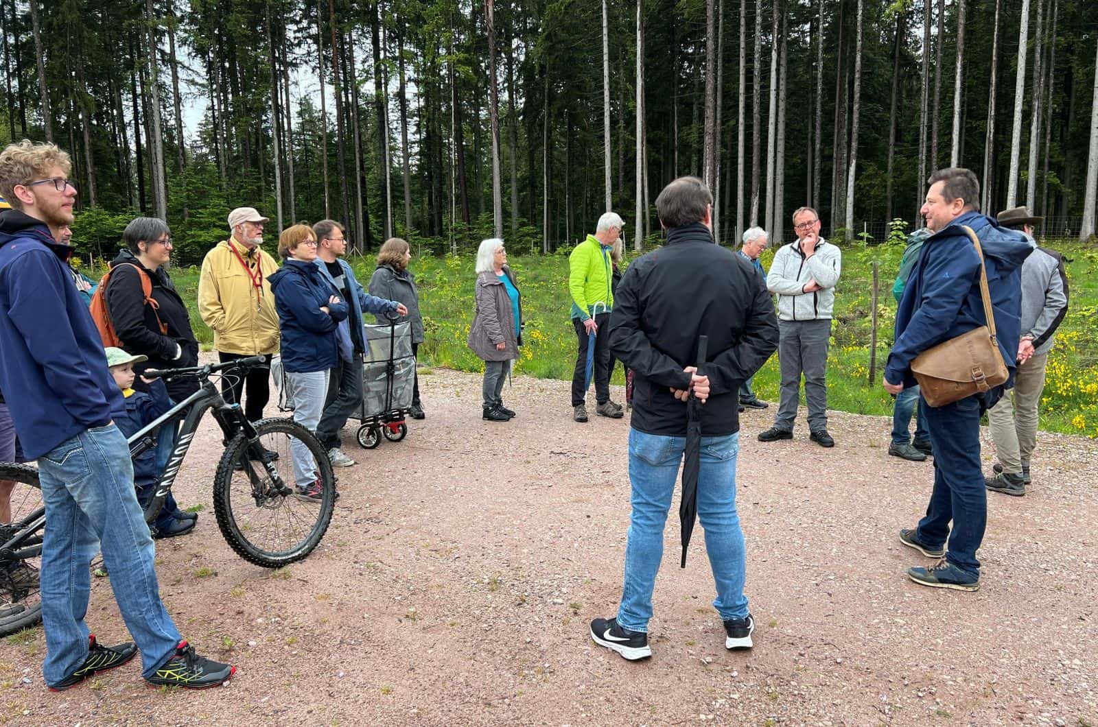 wka buntspecht 2 dkpm 240524