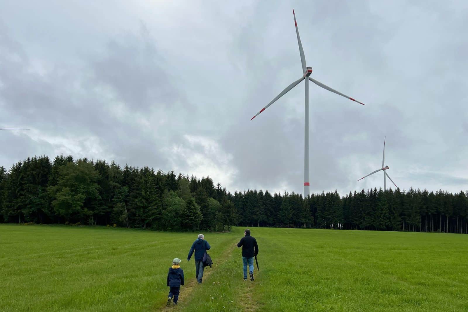 wka buntspecht dkpm 240524