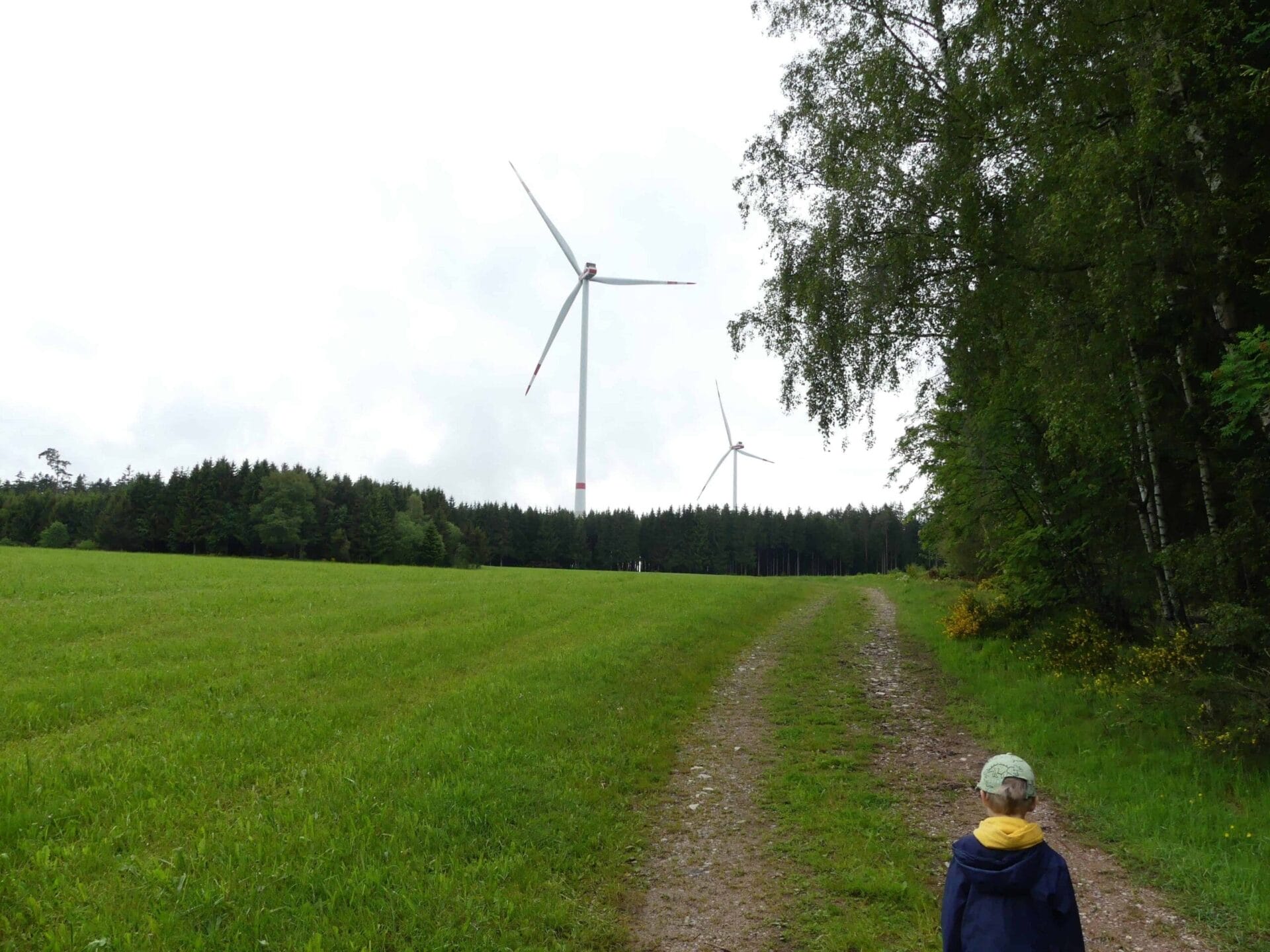 wka falkenhöhe buntspecht dk 210524