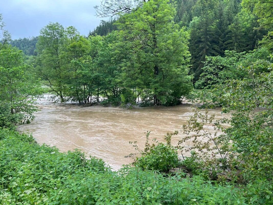 6ca7f100 7a14 4286 a4ba 2b464f7503d7