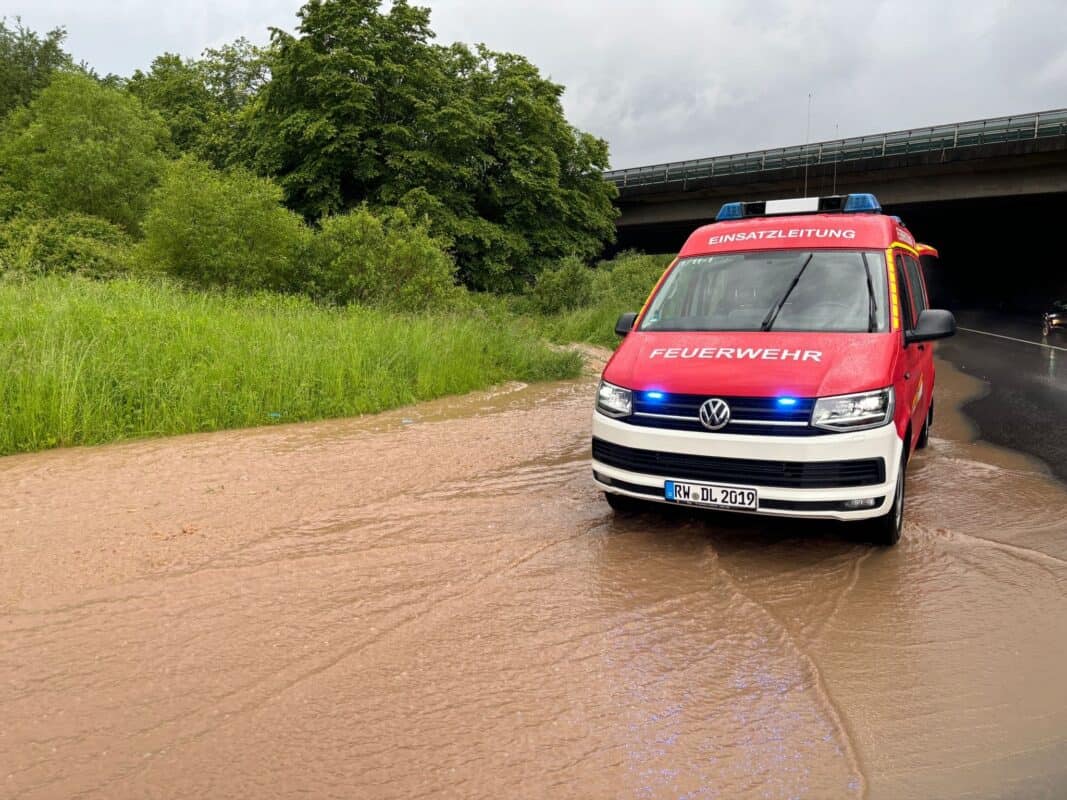 87a9dd11 7ccc 4c0b a242 b62a1c7e9894