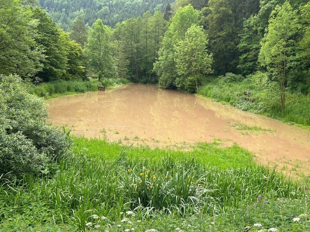 95391d23 2f71 400e 835f 66f16fedf215