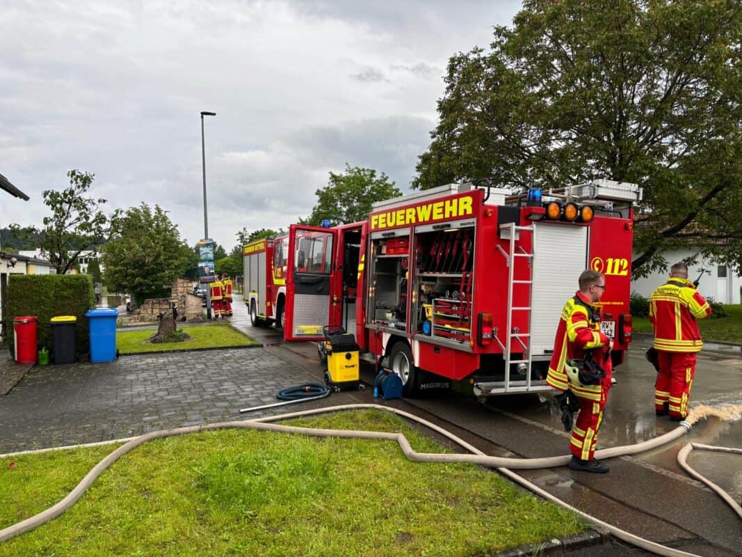 97065495 21a4 4fc1 a9d2 4d334f08a5fe