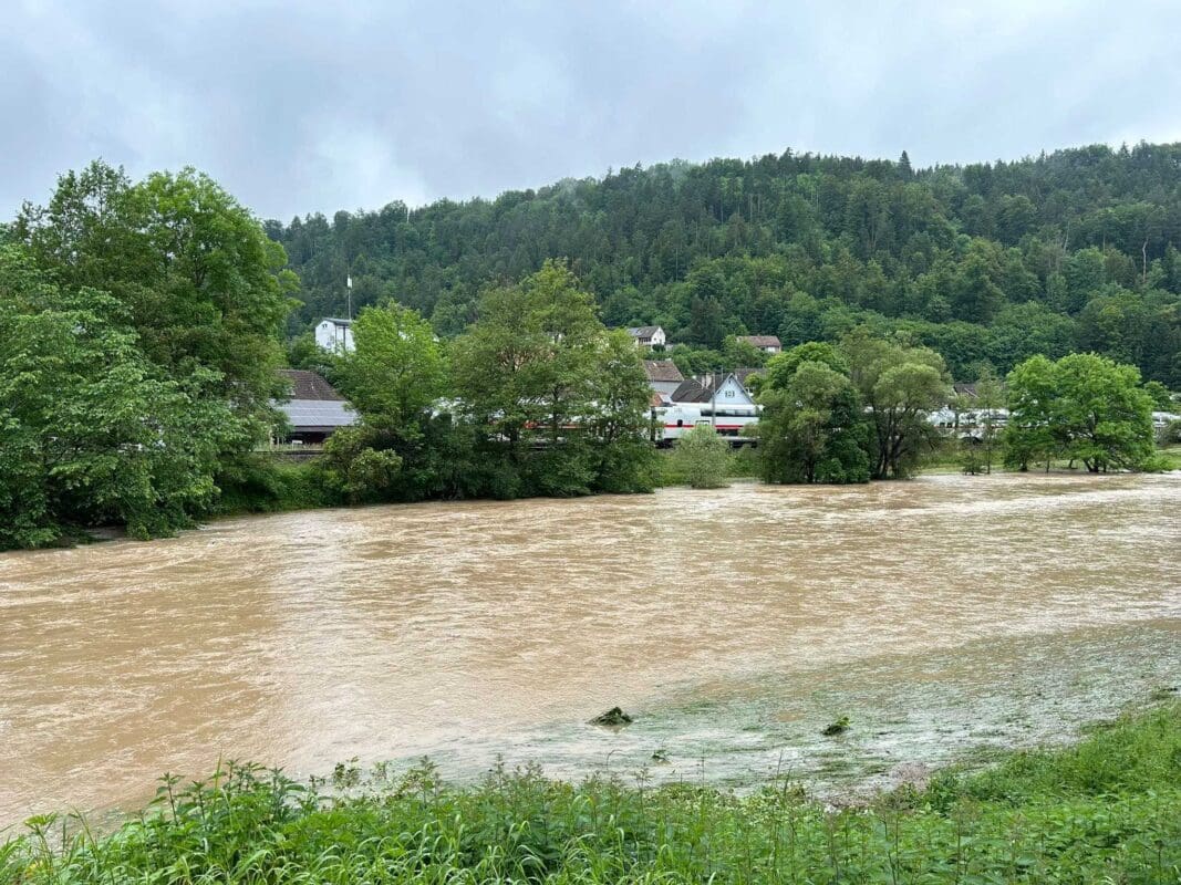 d52a45b3 bdd2 48d3 926b 4a18d71ea27e 2