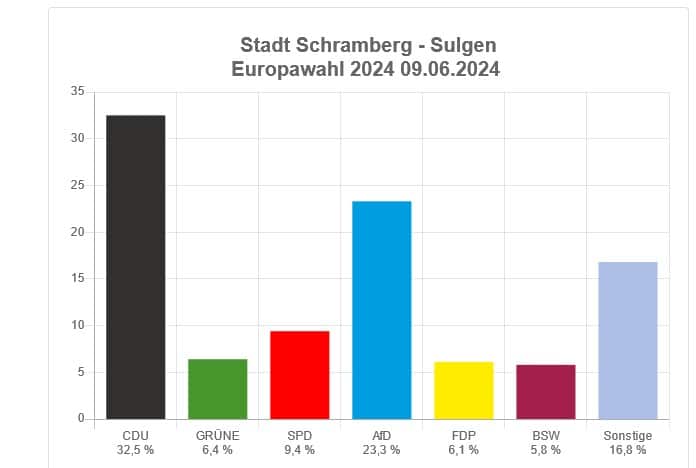 eu wahl schramberg sulgen 090624