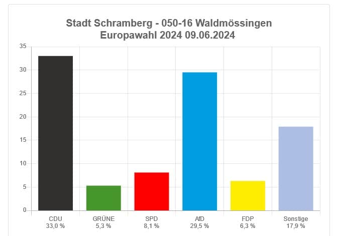 eu wahl schramberg waldmössingen 090624