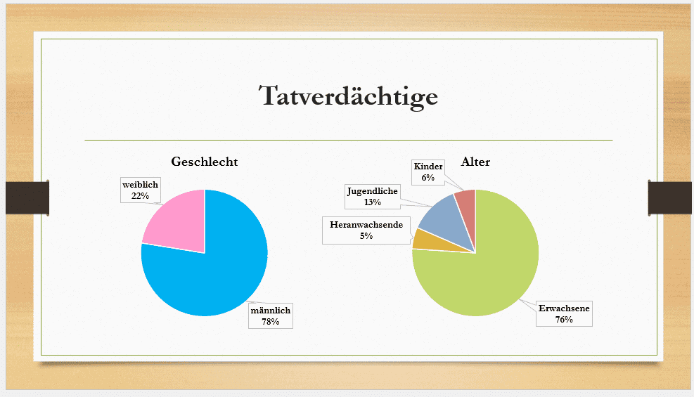 kriminalstatistik tatverdächtige 040624