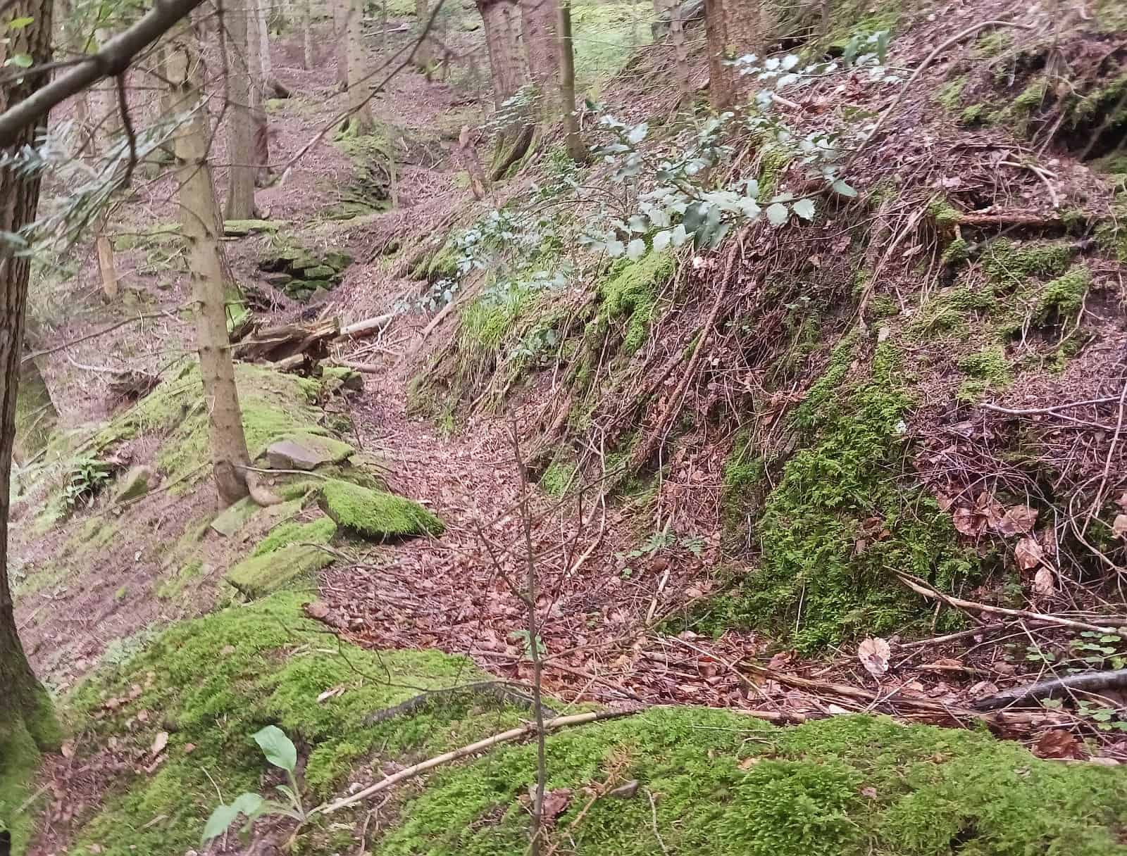 sandwäsche wanderung david dk 090624 (10)