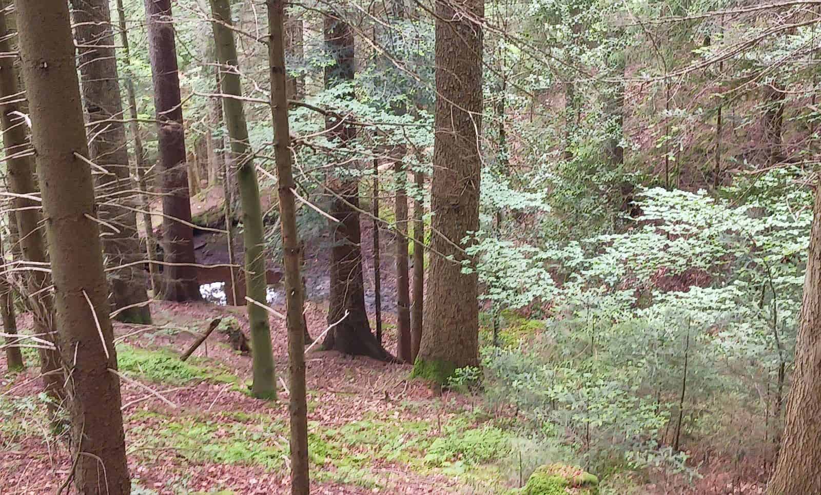 sandwäsche wanderung david dk 090624 (7)