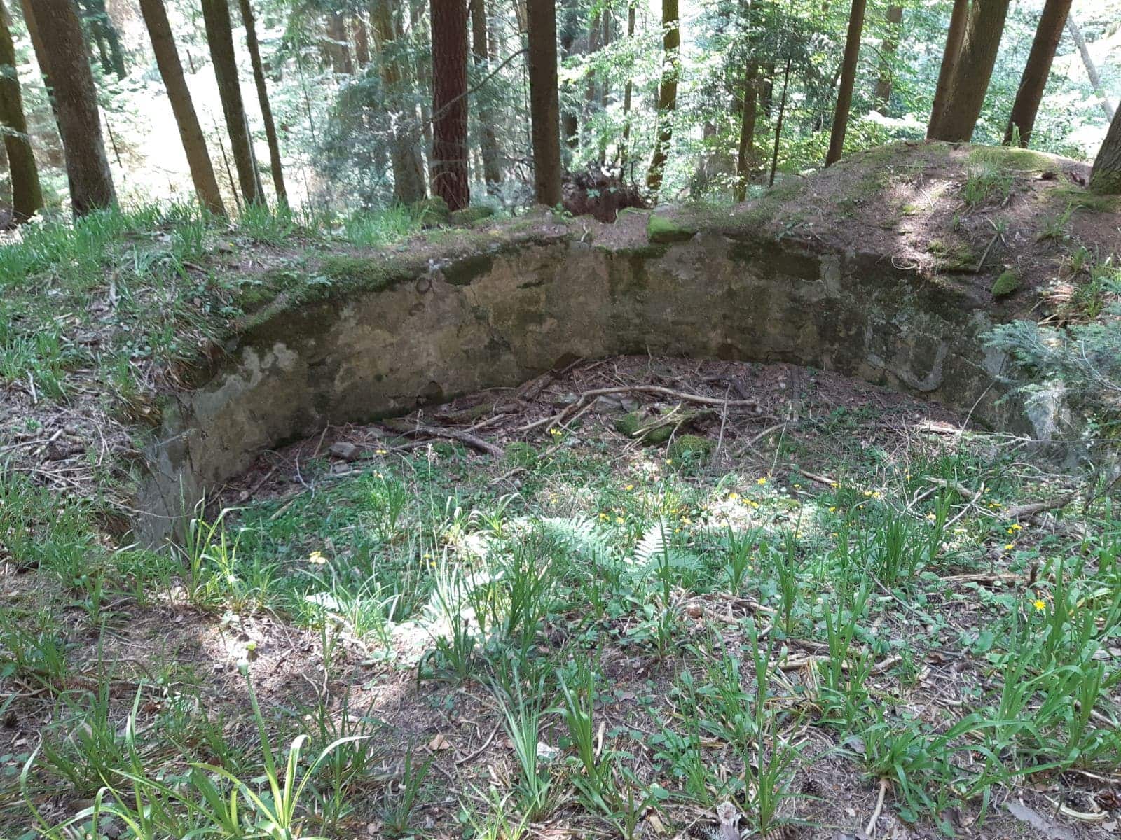 sandweiher dk dk 100624