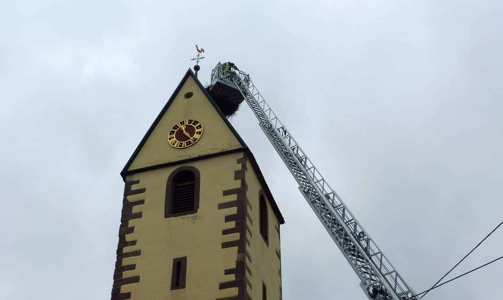 störche aktio leiterr dkhp 020624