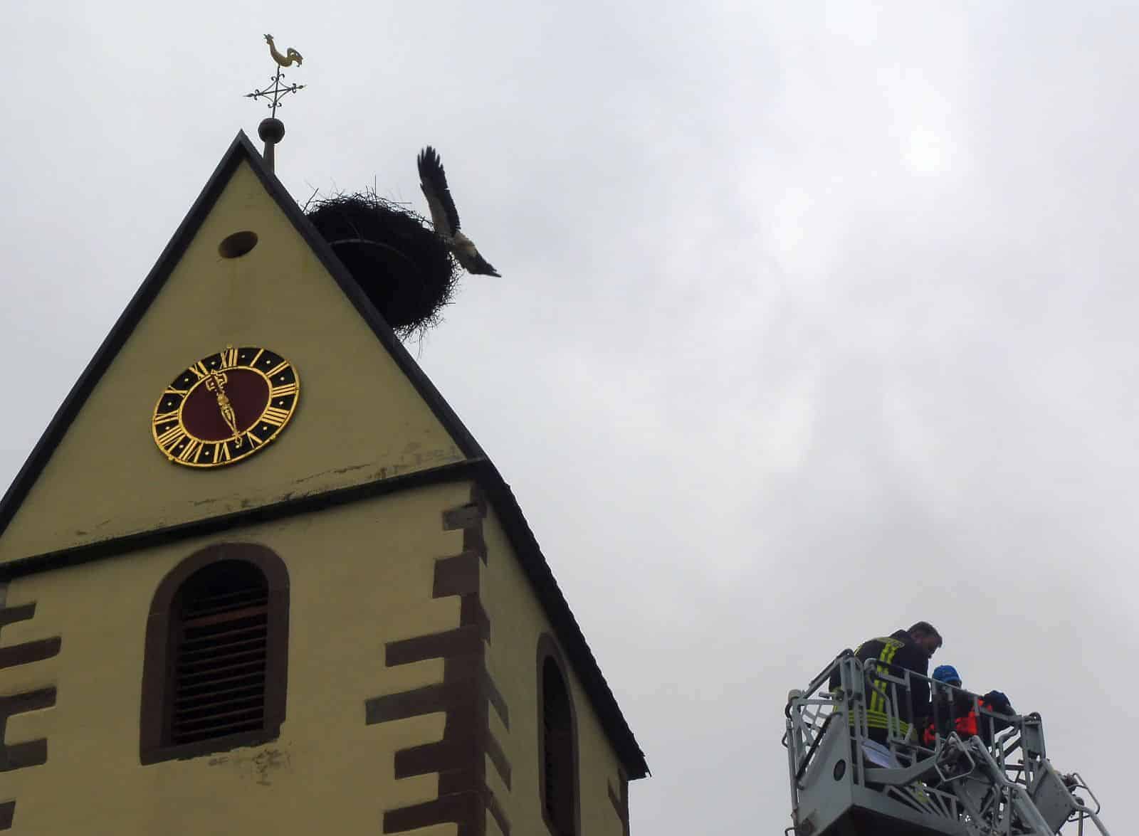 störche aktion abflug dkhp 020624