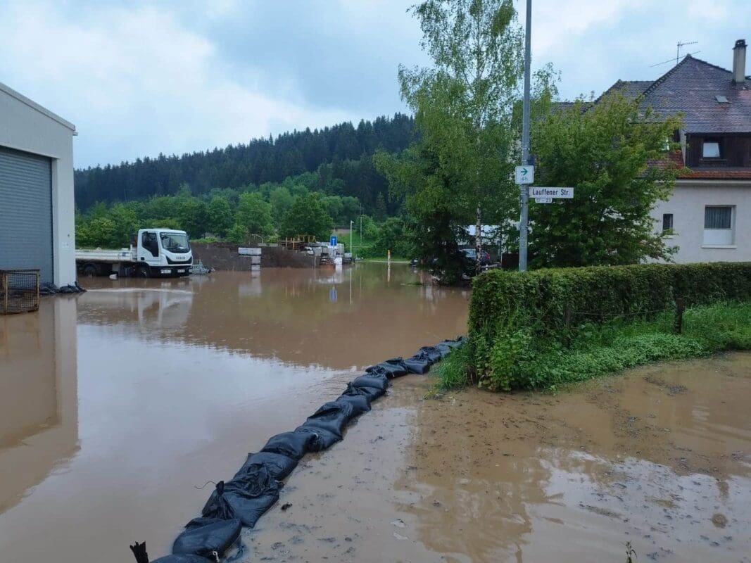 whatsapp image 2024 06 02 at 20.51.15 1