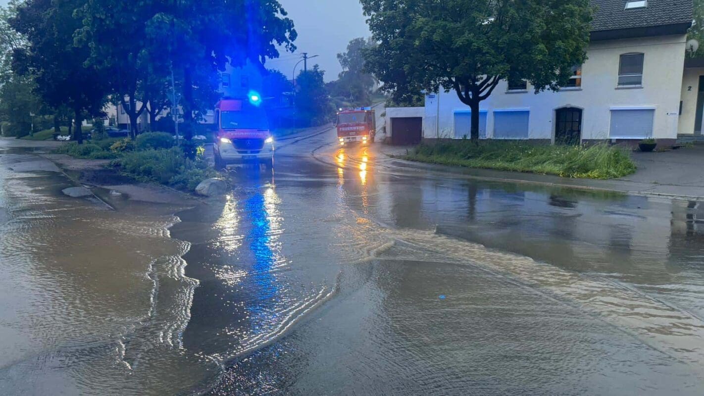 whatsapp image 2024 06 03 at 06.09.22