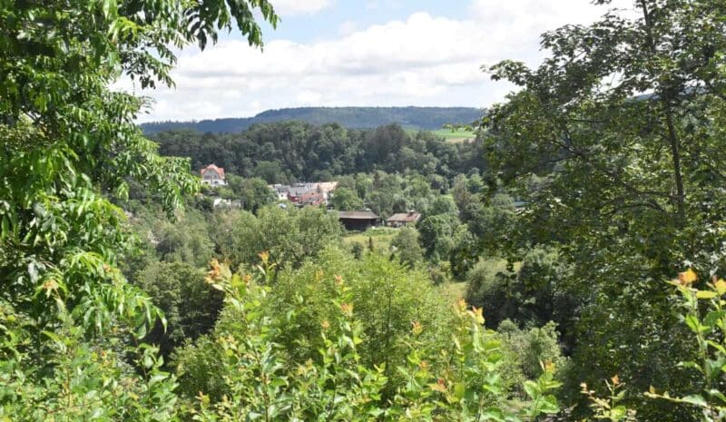 240711 kameral blätter