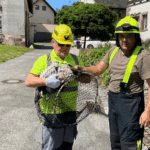 am boden eingefangen dkpm 150724