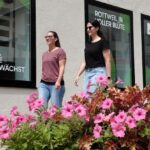 blumenschmuck innenstadt