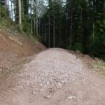 forst und radweg sulgen tal dk 020724 (1)