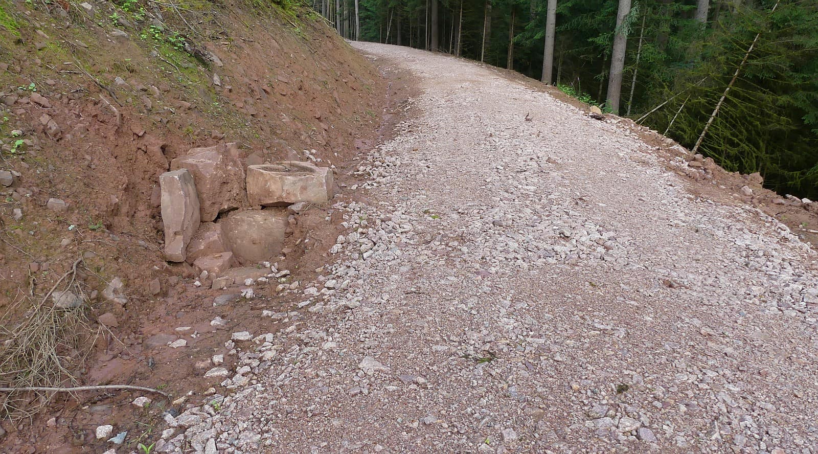 forst und radweg sulgen tal dk 020724 (2)