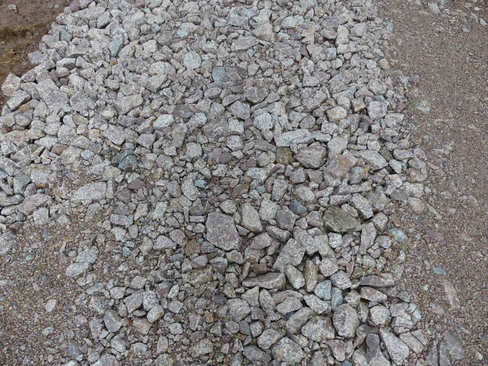 forst und radweg sulgen tal dk 020724 (5)