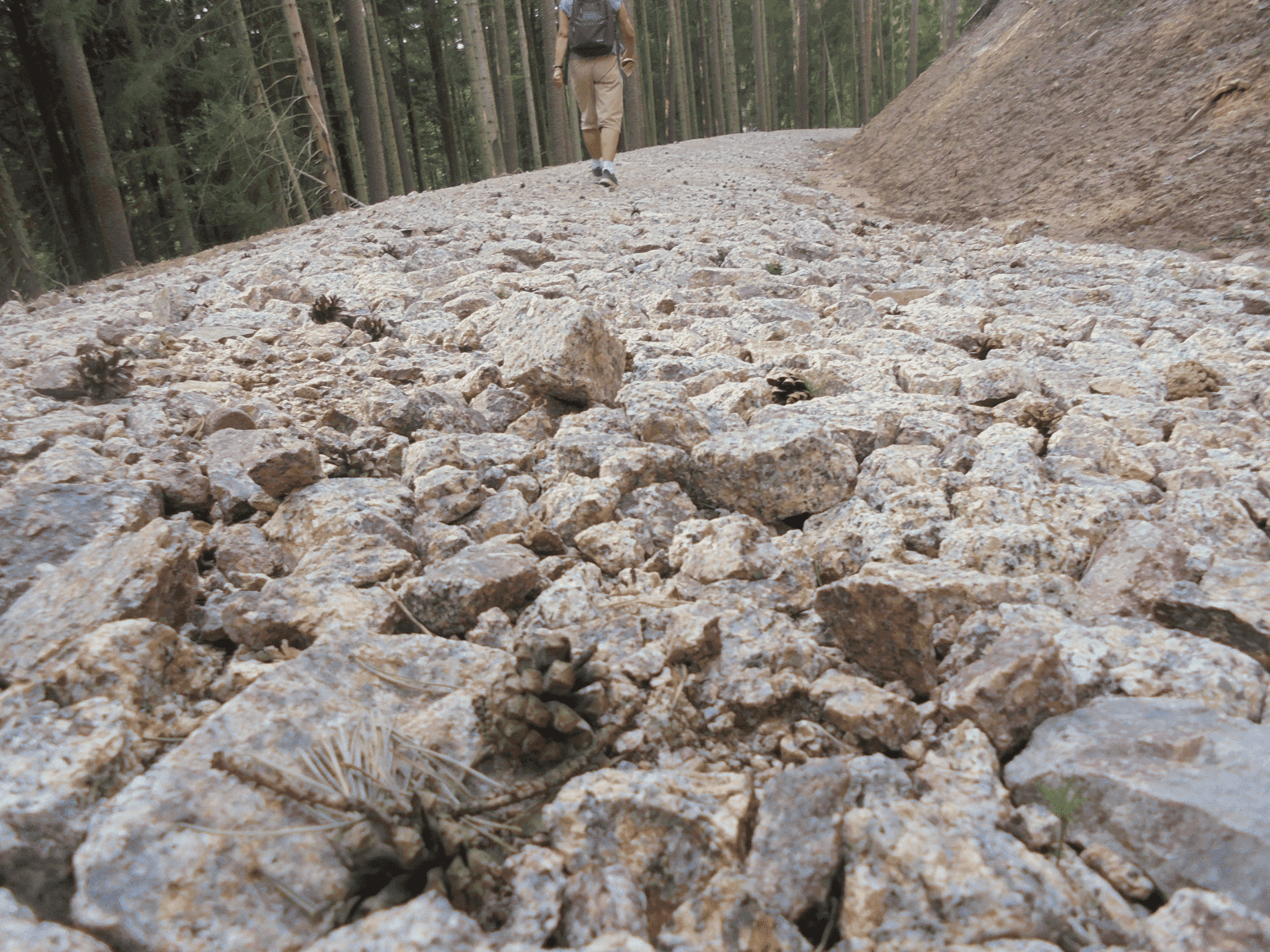 forstweg schotter dk 190724 (1)