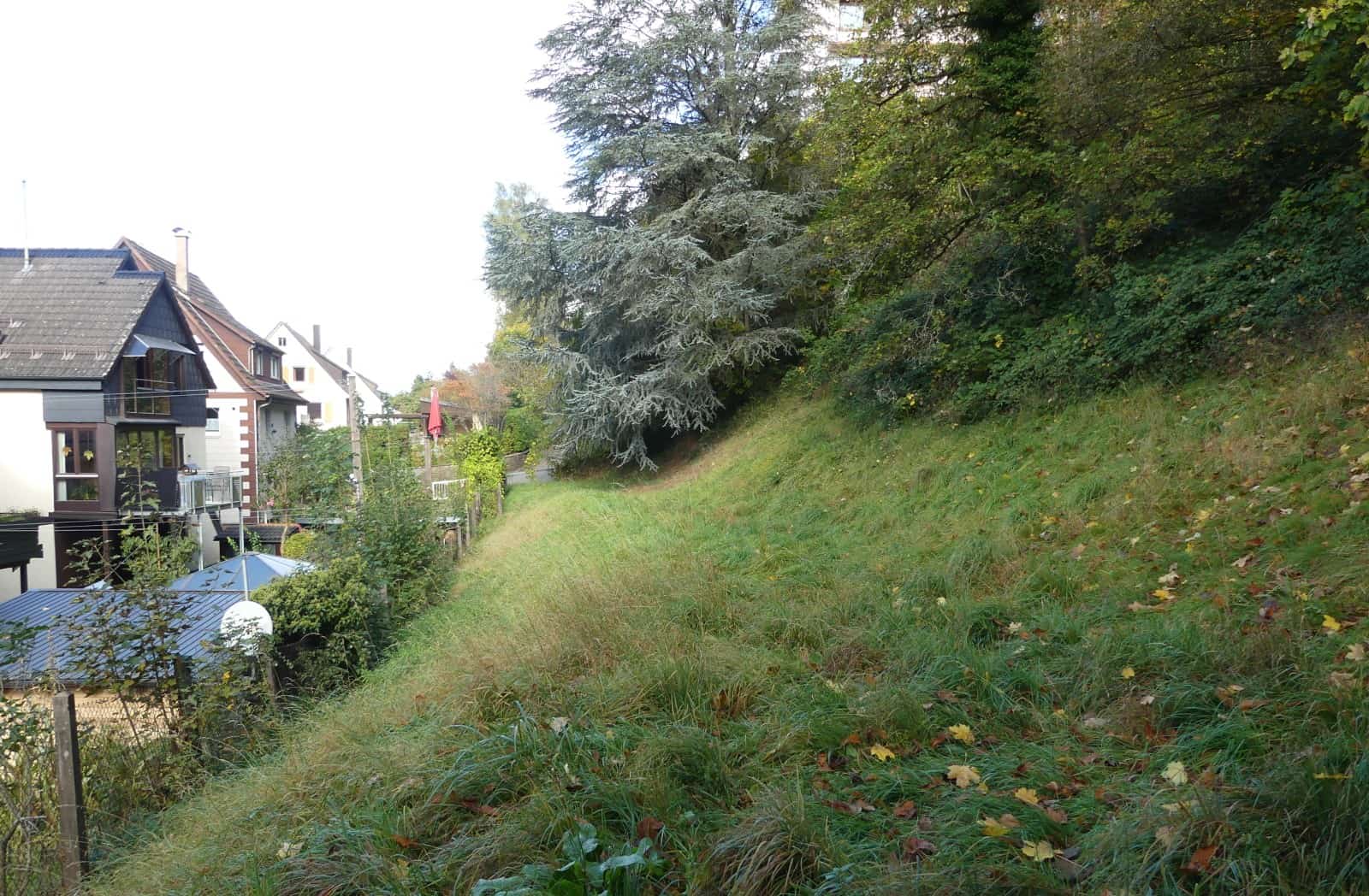 gut berneck park krankenhausareal dk 221023 (12)