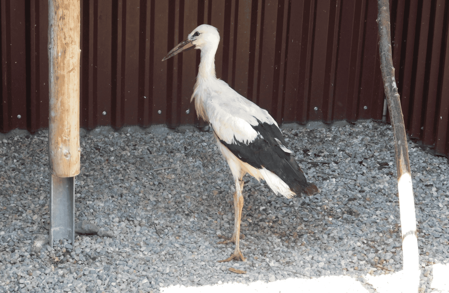 in mössingen dkpm 150724