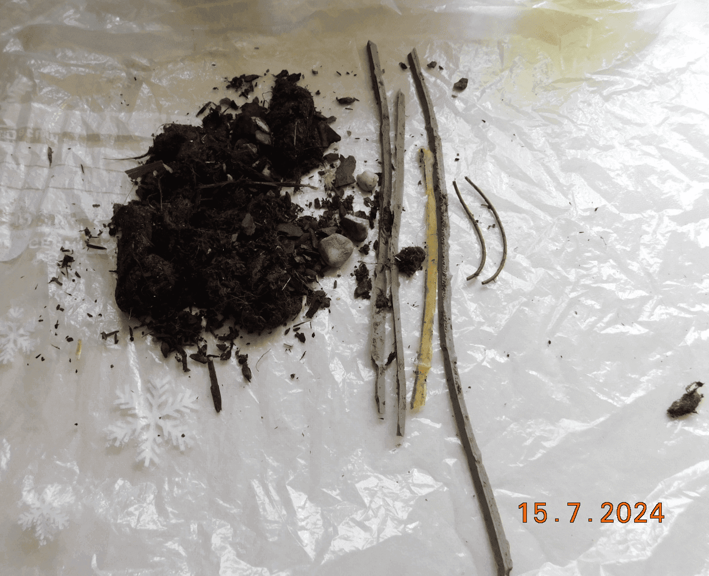 müll im hals dkpm 150724