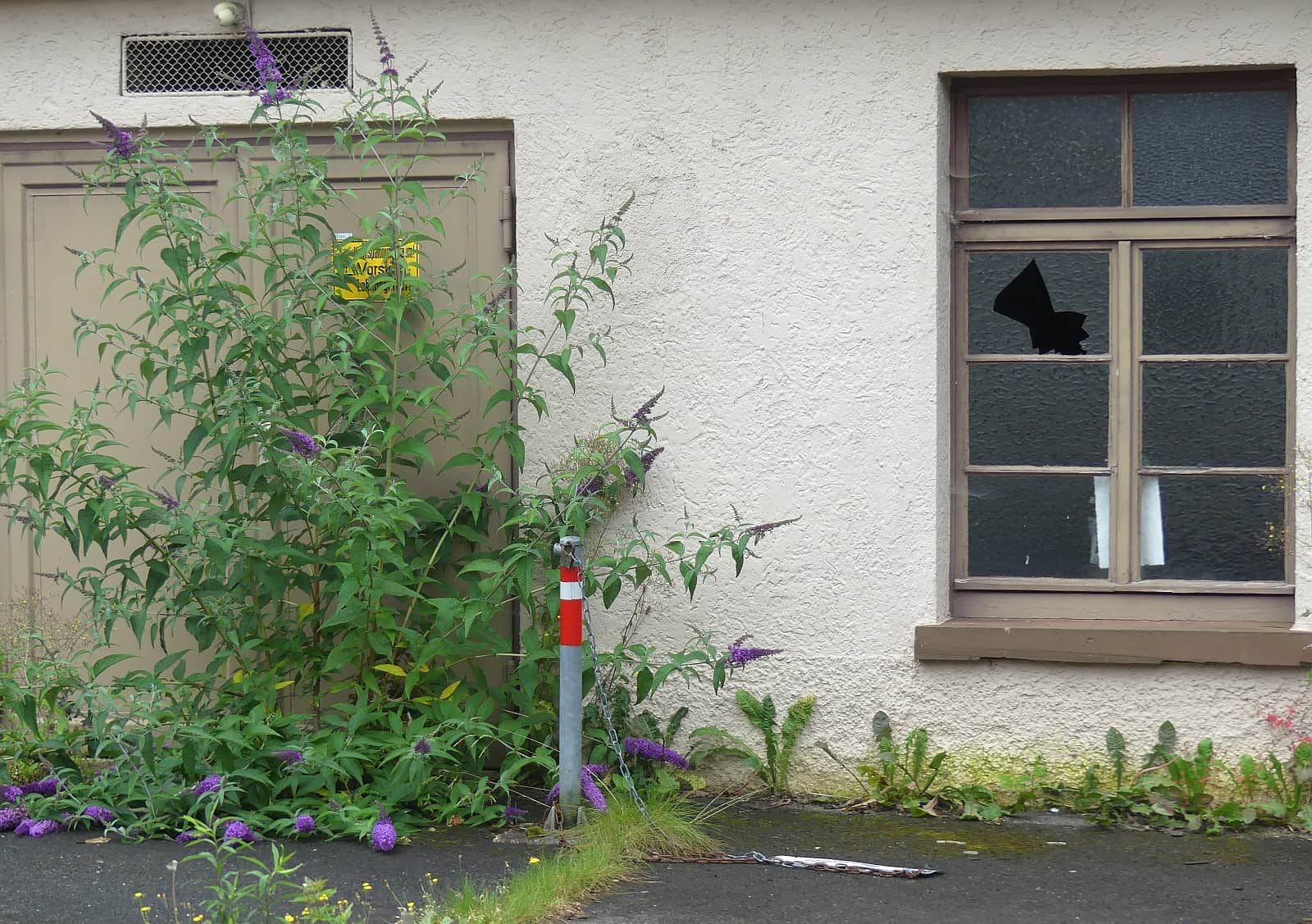 pfaff und schlauder zustand dk 100724 (7)