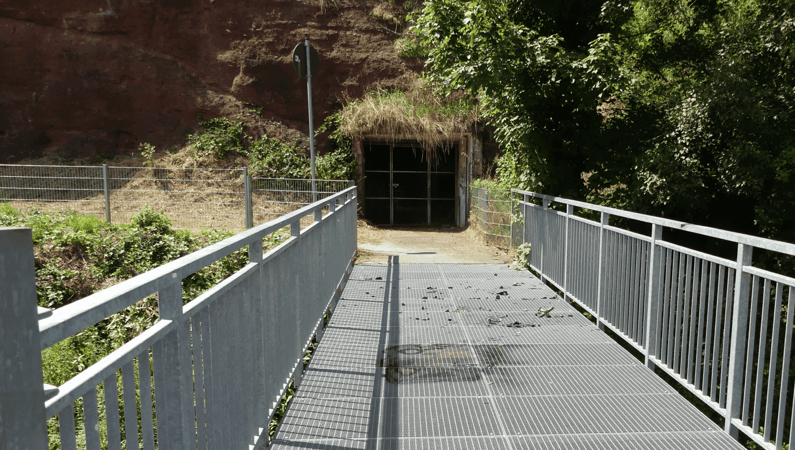 stahlbrücke kokelei dk 200724 (2)