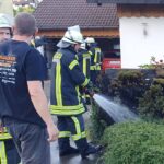 tuja brand tebro 3 dkpm 090724