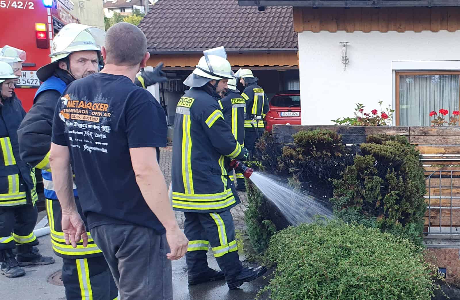 tuja brand tebro 3 dkpm 090724