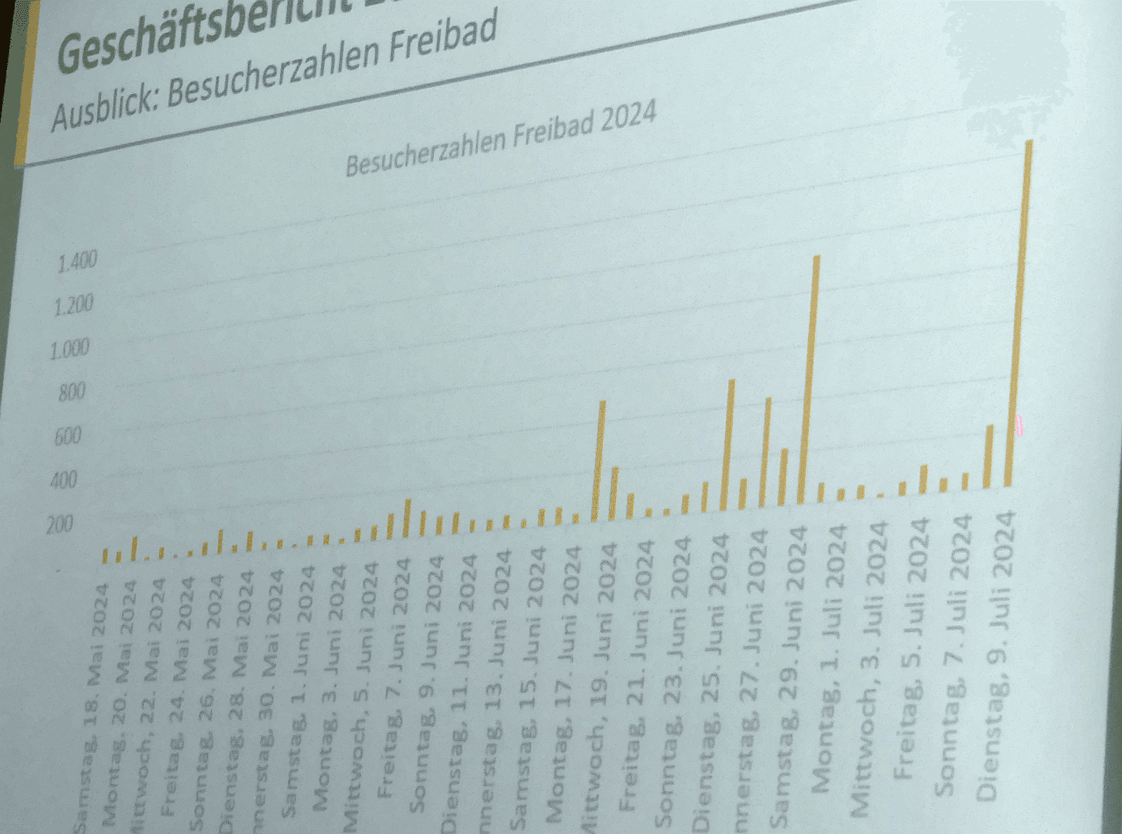 va stadtwerke freibad dk 1120724 (10)