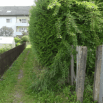 heckenproblem wernerwegle dk 050824