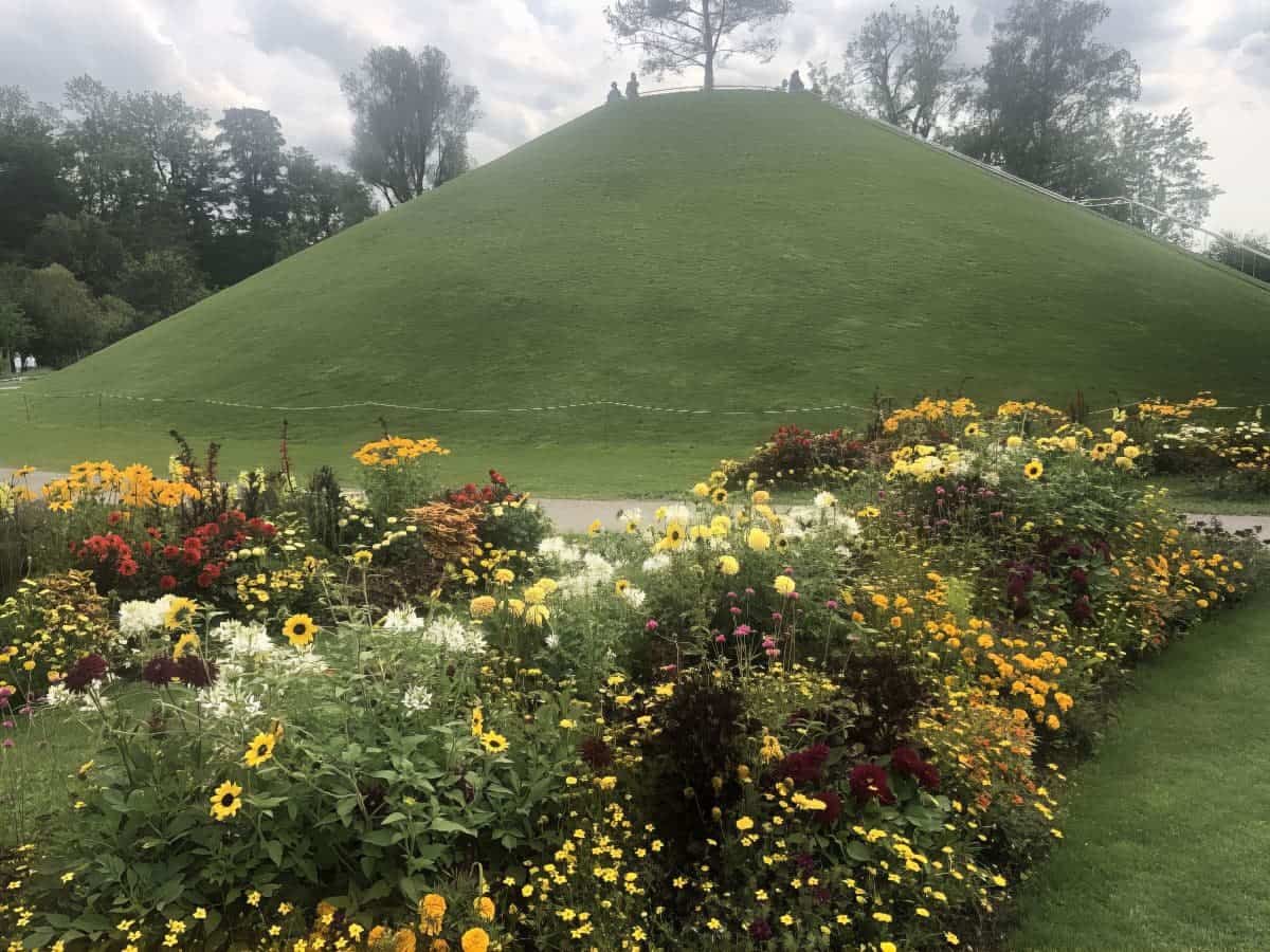 img 4488 154851 113637